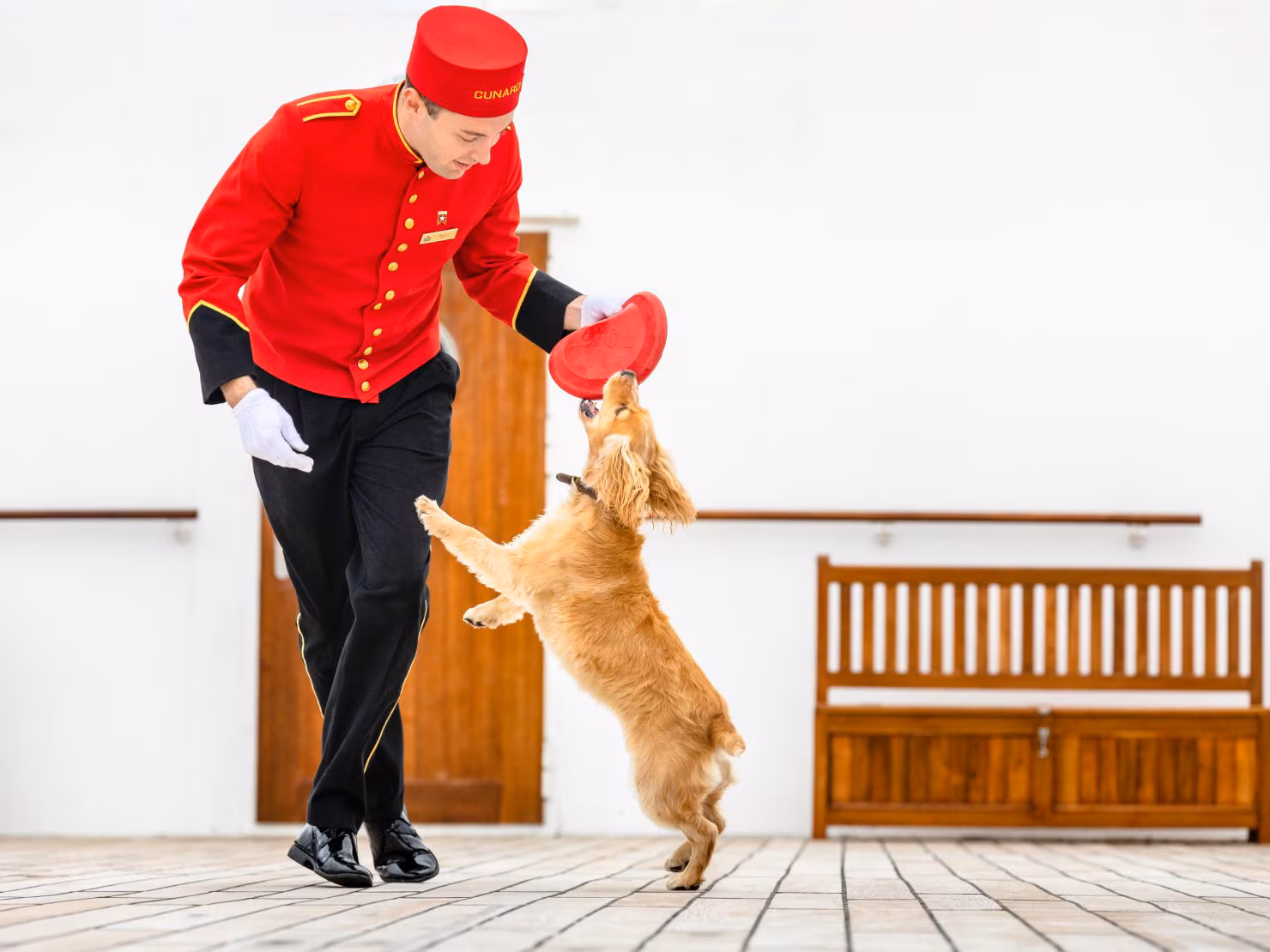 Pet safety and wellbeing